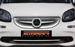 Moulding Grill below Smart Fortwo 453