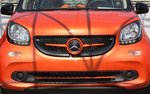 Moulding Grill below Smart Fortwo+Forfour 453
